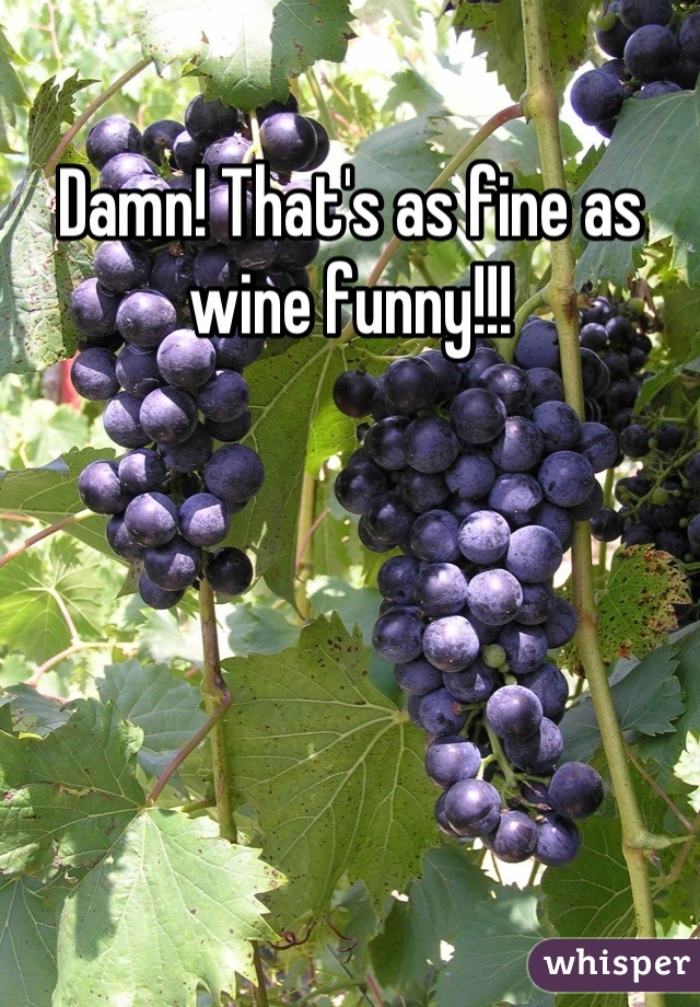 Damn! That's as fine as wine funny!!!