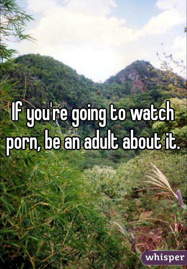 If you're going to watch porn, be an adult about it. 