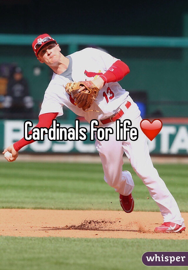 Cardinals for life❤️
