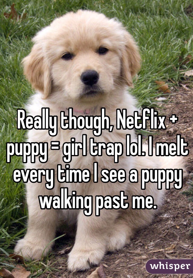 Really though, Netflix + puppy = girl trap lol. I melt every time I see a puppy walking past me.