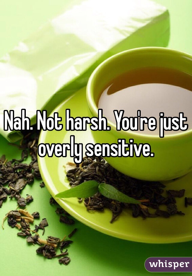 Nah. Not harsh. You're just overly sensitive. 