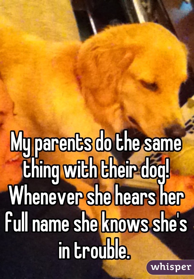 My parents do the same thing with their dog! Whenever she hears her full name she knows she's in trouble. 