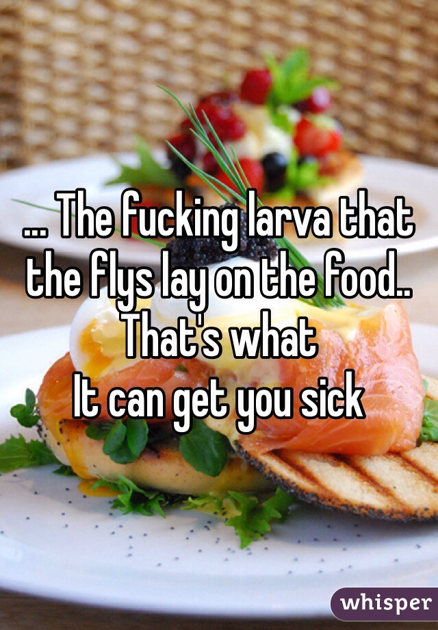 ... The fucking larva that the flys lay on the food.. That's what
It can get you sick 