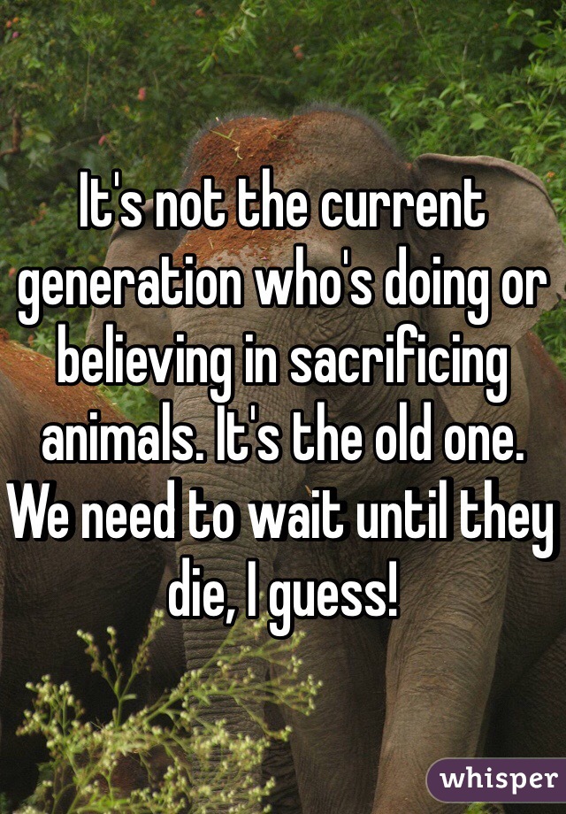 It's not the current generation who's doing or believing in sacrificing animals. It's the old one. We need to wait until they die, I guess! 
