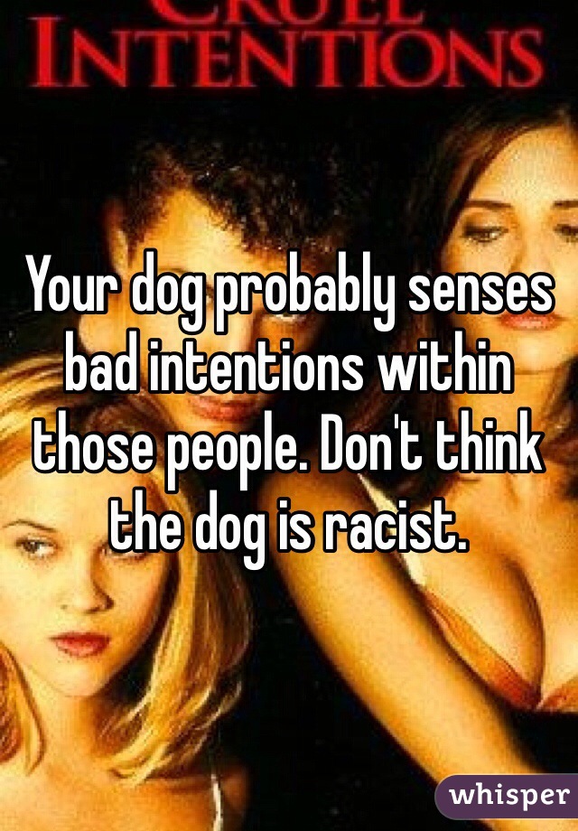 Your dog probably senses bad intentions within those people. Don't think the dog is racist. 