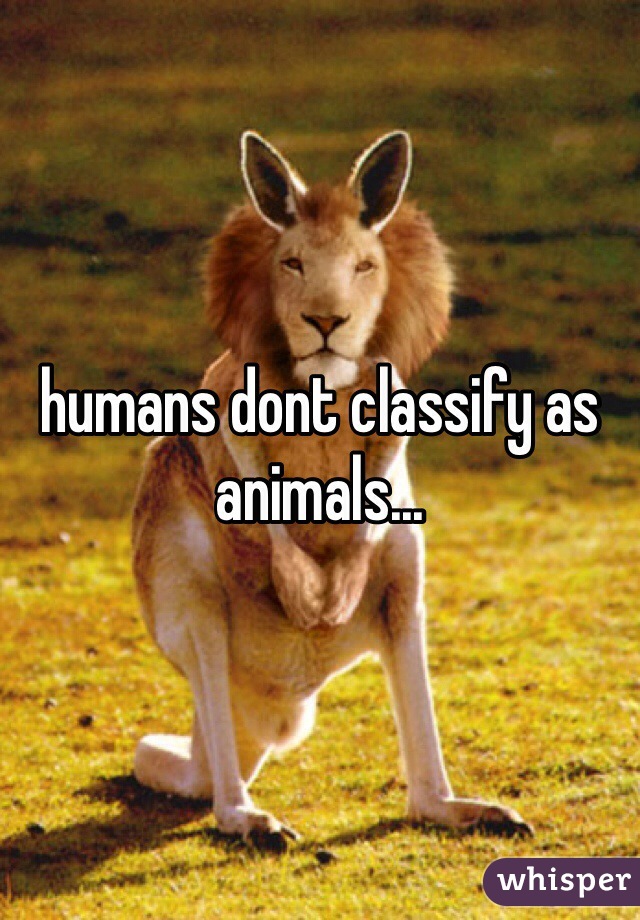 humans dont classify as animals...