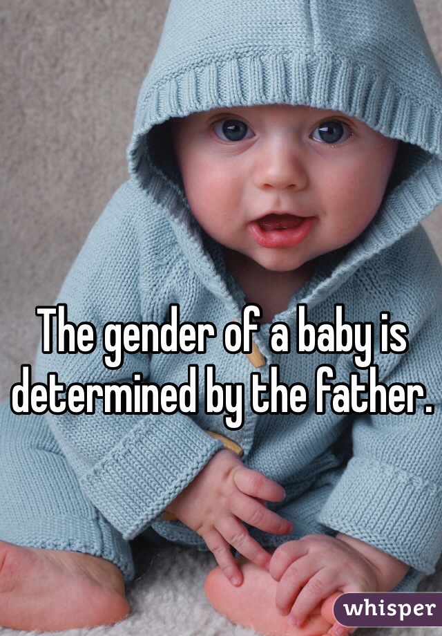 The gender of a baby is determined by the father. 