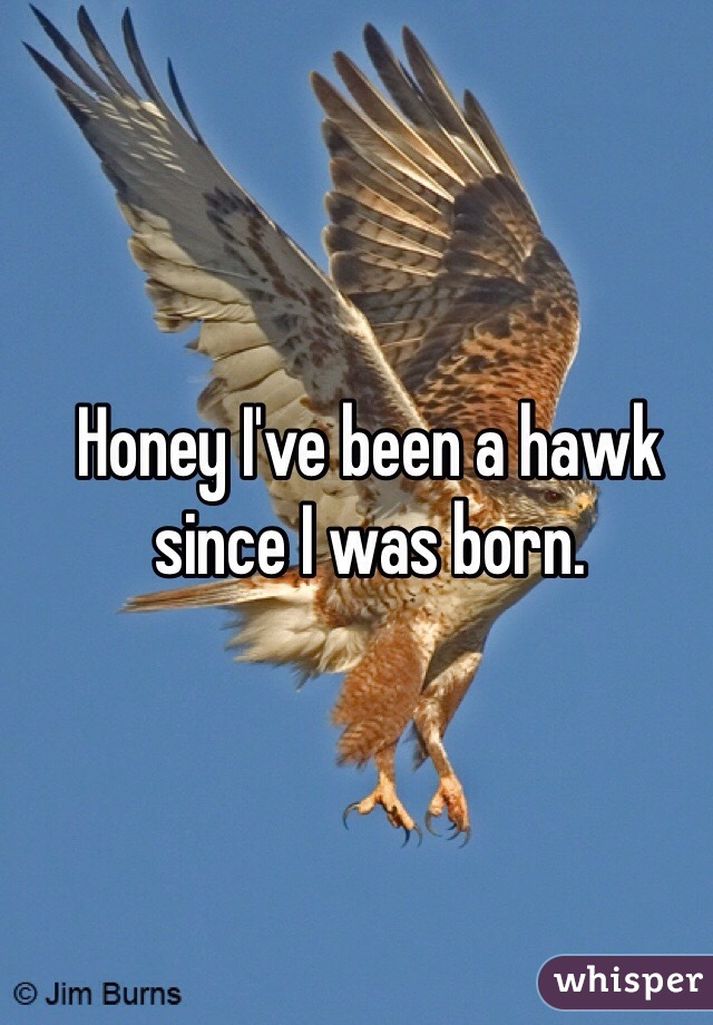 Honey I've been a hawk since I was born. 