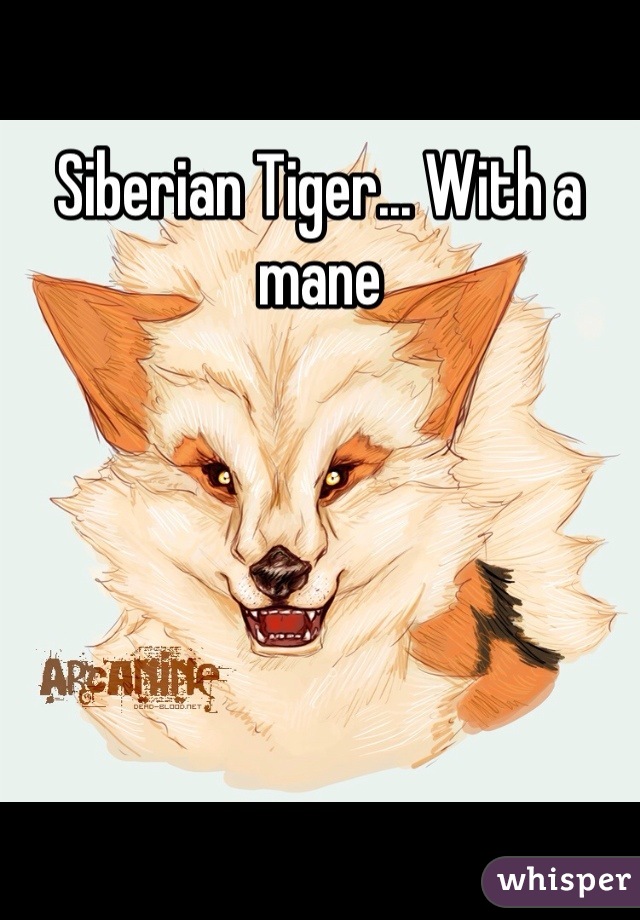 Siberian Tiger... With a mane