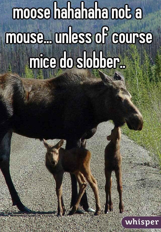 moose hahahaha not a mouse... unless of course mice do slobber.. 