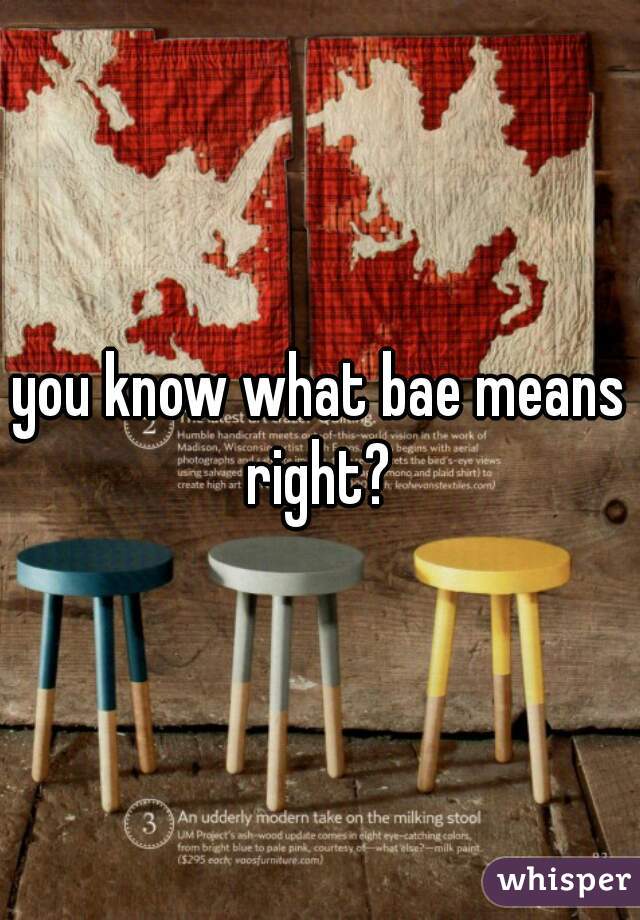 you know what bae means right? 