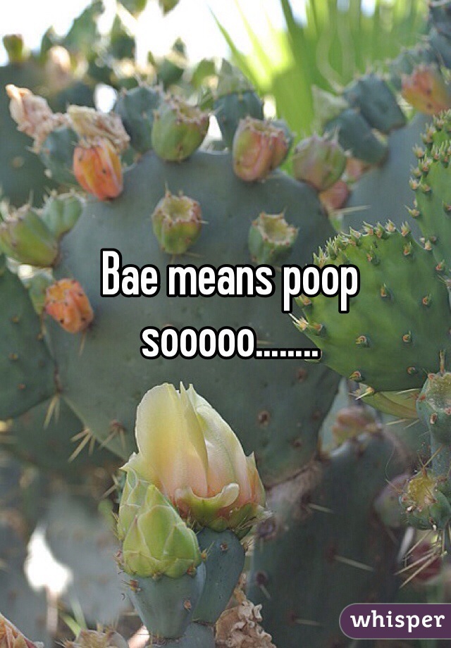 Bae means poop sooooo........