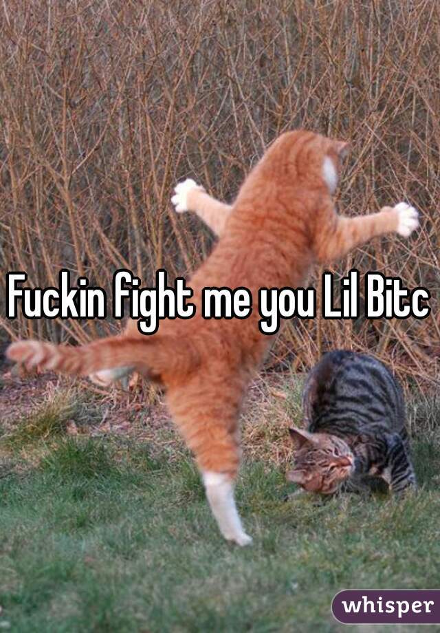 Fuckin fight me you Lil Bitch
