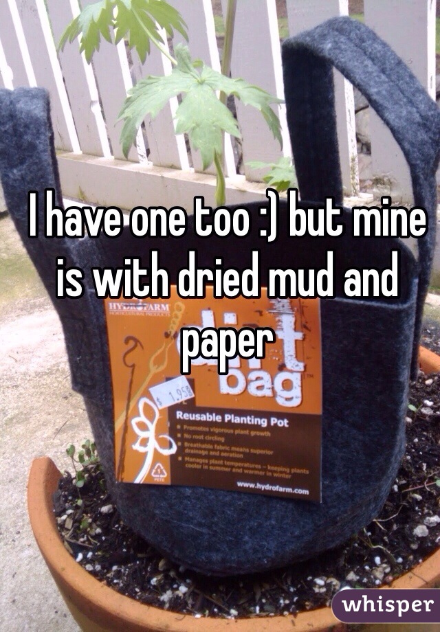 I have one too :) but mine is with dried mud and paper