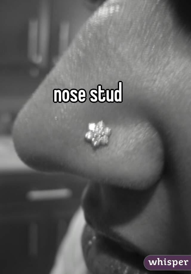 nose stud