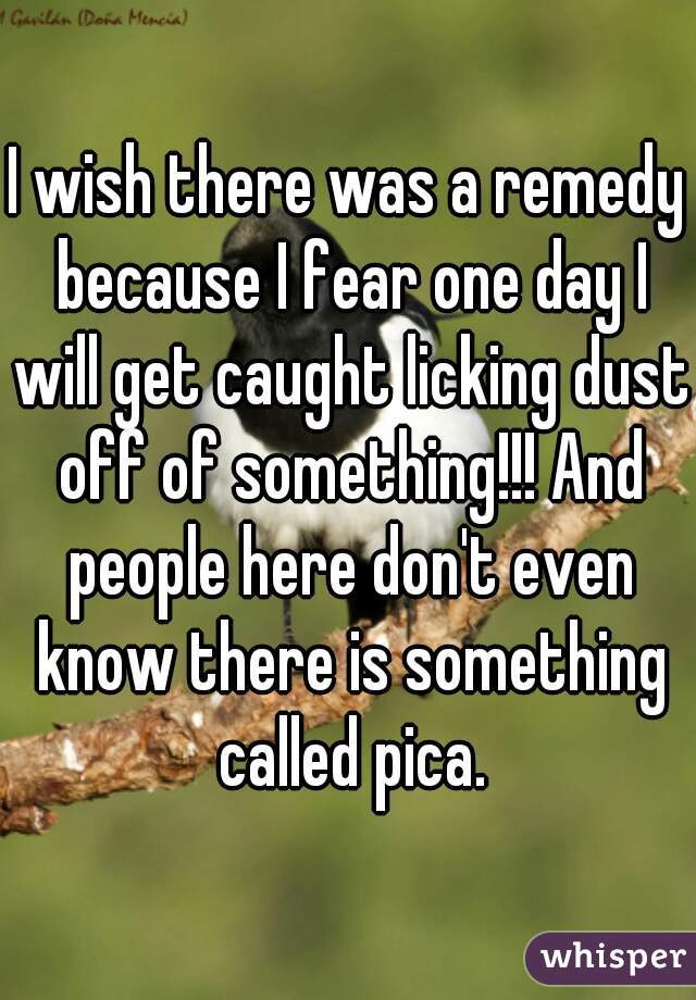 I wish there was a remedy because I fear one day I will get caught licking dust off of something!!! And people here don't even know there is something called pica.