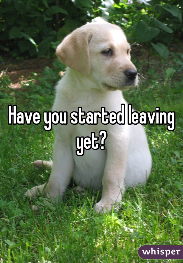 Have you started leaving yet?