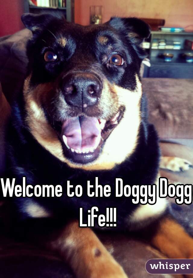 Welcome to the Doggy Dogg Life!!!