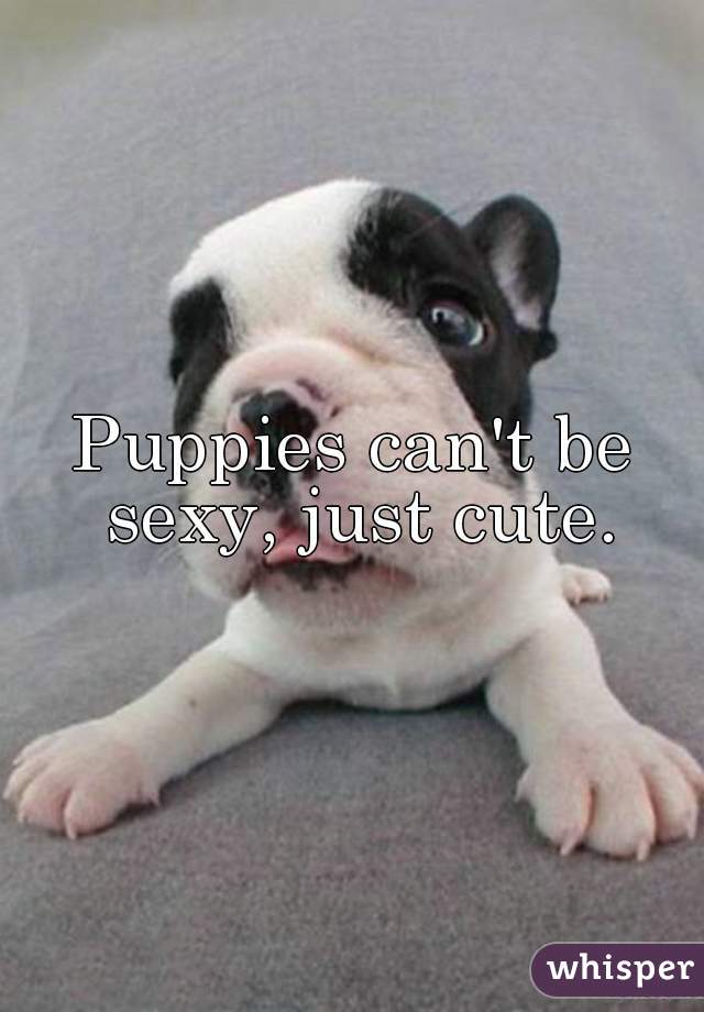 Puppies can't be sexy, just cute.