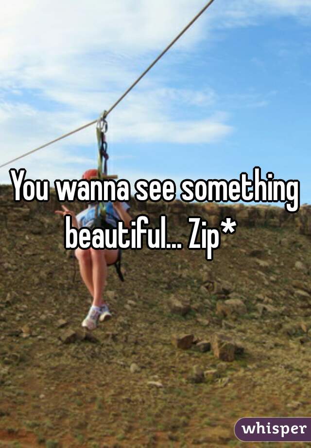 You wanna see something beautiful... Zip*  