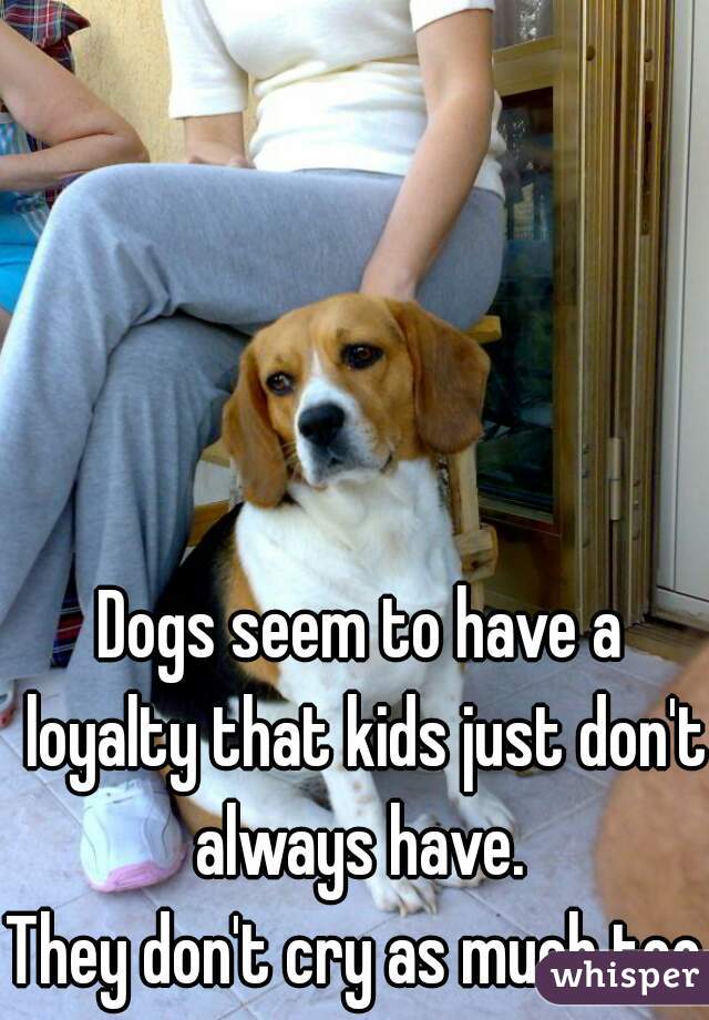 Dogs seem to have a loyalty that kids just don't always have. 



They don't cry as much too.