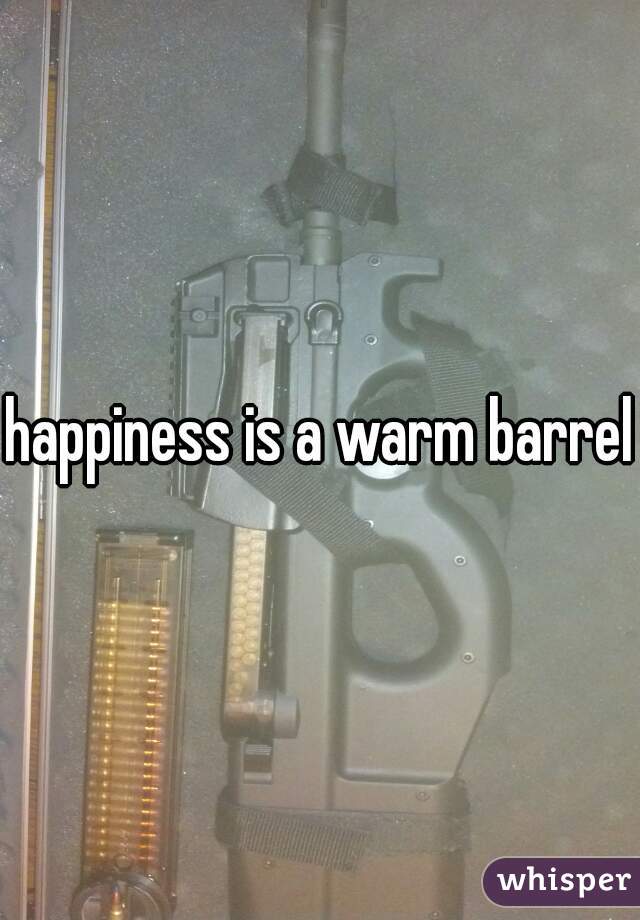 happiness is a warm barrel