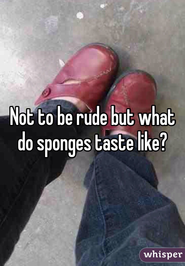 Not to be rude but what do sponges taste like?