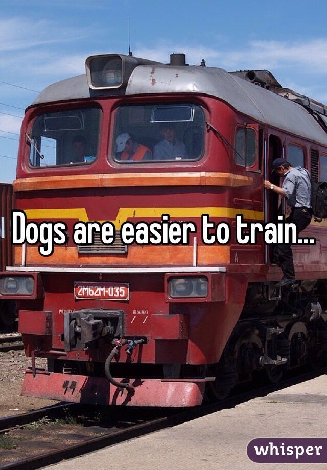 Dogs are easier to train...