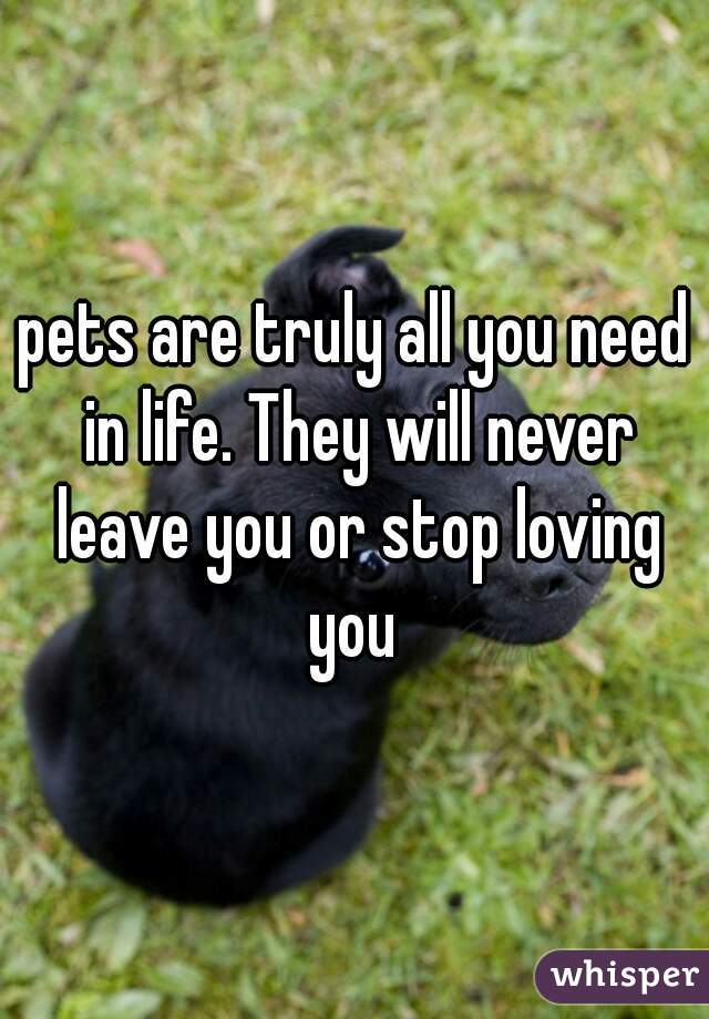 pets are truly all you need in life. They will never leave you or stop loving you 