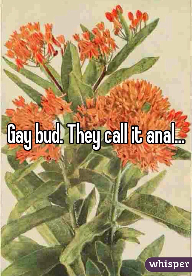 Gay bud. They call it anal... 