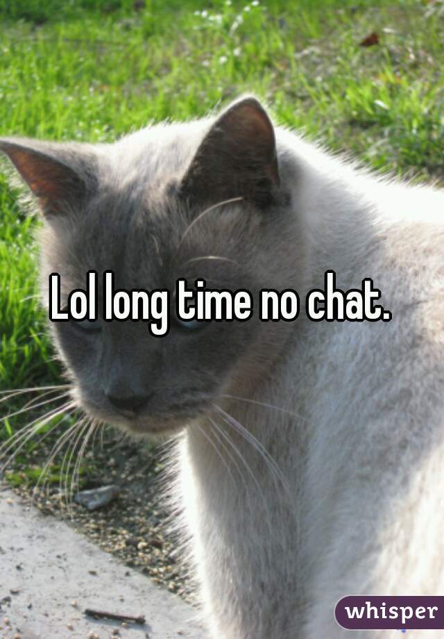 Lol long time no chat.