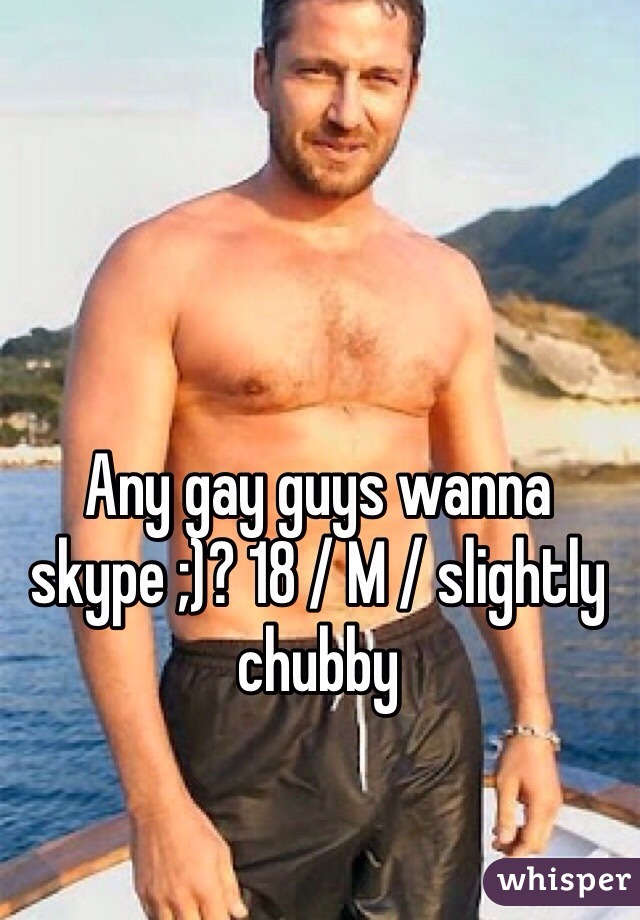 Any gay guys wanna skype ;)? 18 / M / slightly chubby
