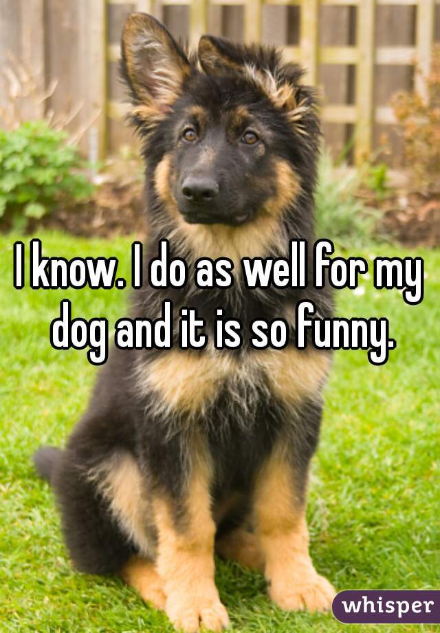 I know. I do as well for my dog and it is so funny.
