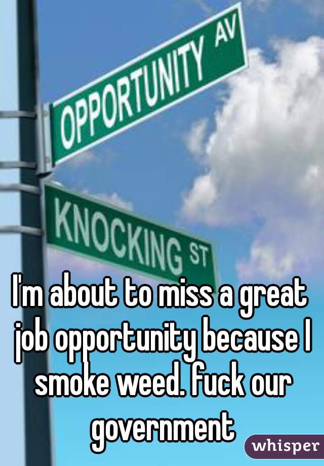 I'm about to miss a great job opportunity because I smoke weed. fuck our government