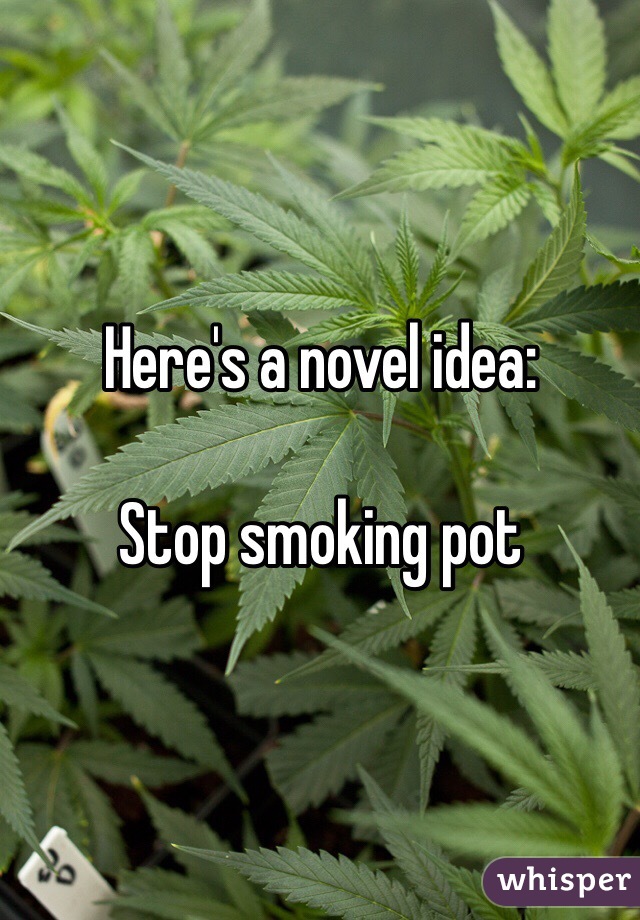 Here's a novel idea:

Stop smoking pot
