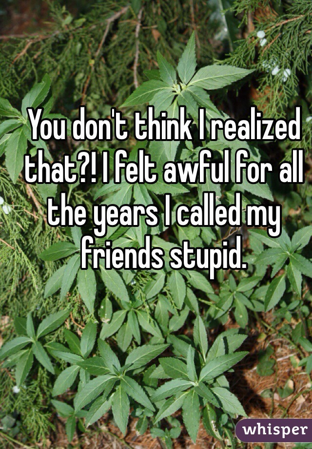 You don't think I realized that?! I felt awful for all the years I called my friends stupid.