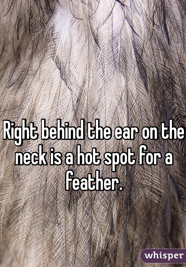 Right behind the ear on the neck is a hot spot for a feather.