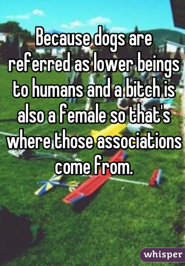 Because dogs are referred as lower beings to humans and a bitch is also a female so that's where those associations come from.