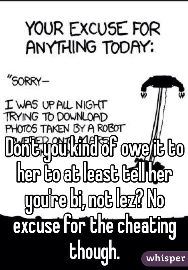 Don't you kind of owe it to her to at least tell her you're bi, not lez? No excuse for the cheating though.