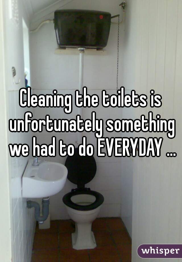 Cleaning the toilets is unfortunately something we had to do EVERYDAY ...