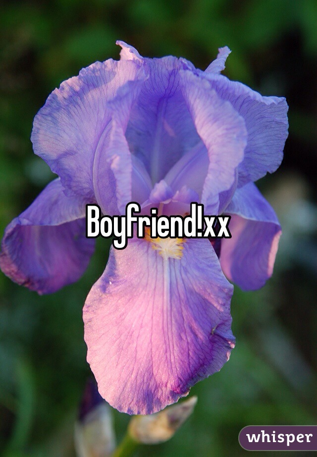 Boyfriend!xx