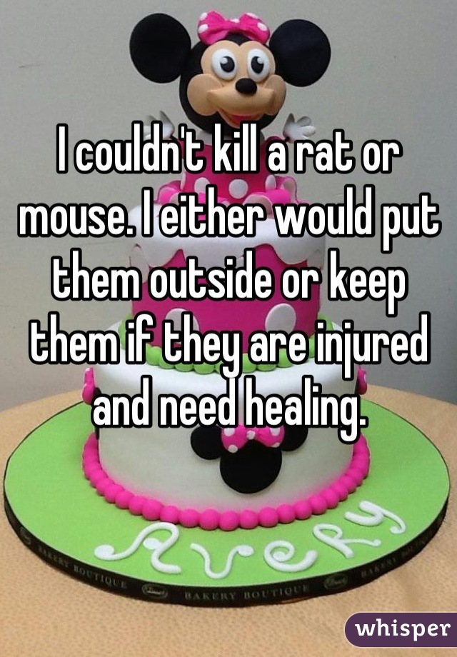 I couldn't kill a rat or mouse. I either would put them outside or keep them if they are injured and need healing.