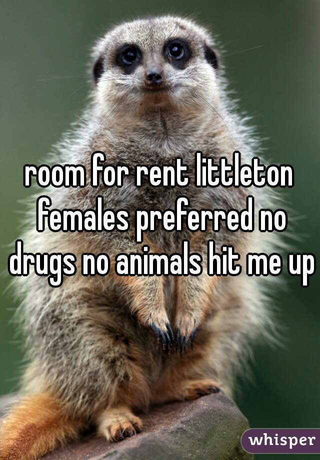 room for rent littleton females preferred no drugs no animals hit me up