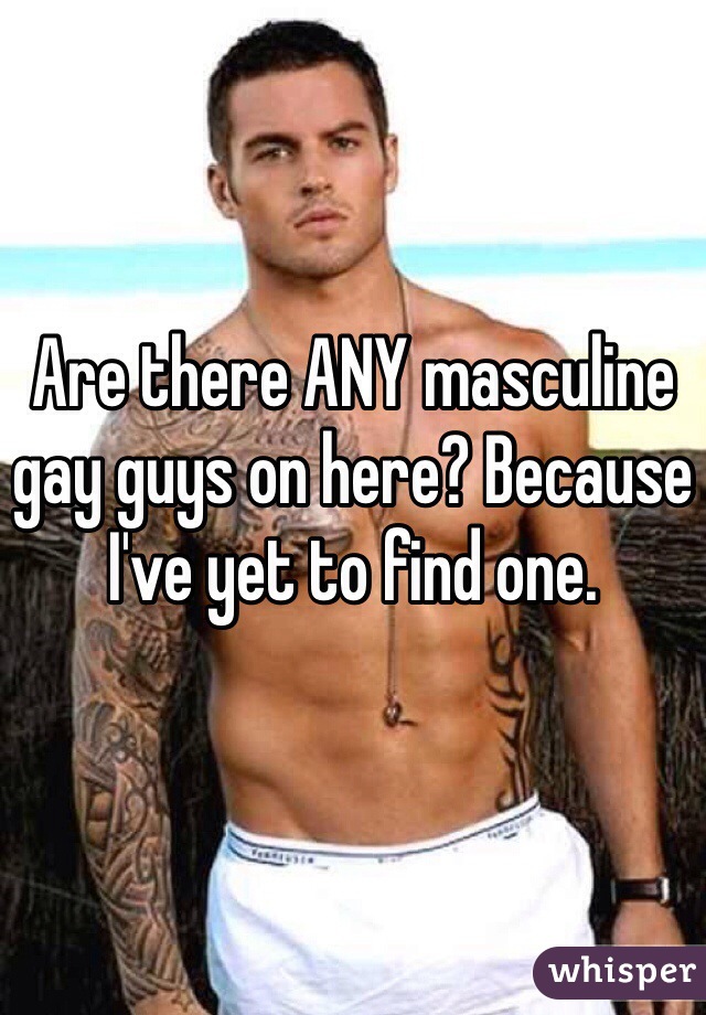 Are there ANY masculine gay guys on here? Because I've yet to find one.