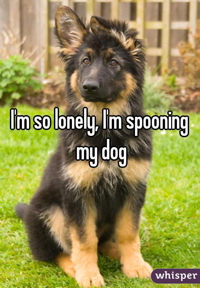 I'm so lonely, I'm spooning my dog