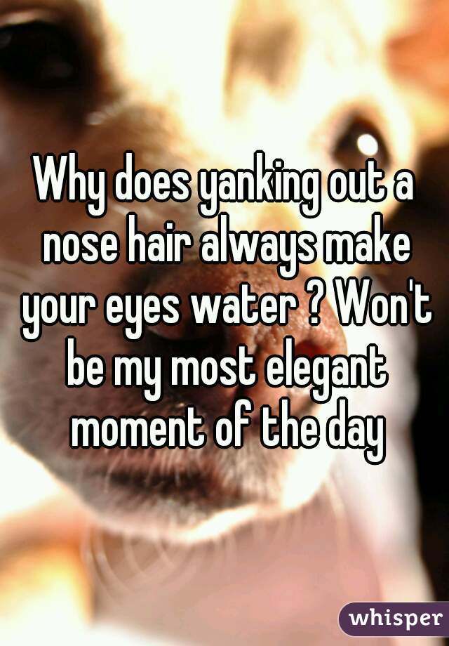 Why does yanking out a nose hair always make your eyes water ? Won't be my most elegant moment of the day