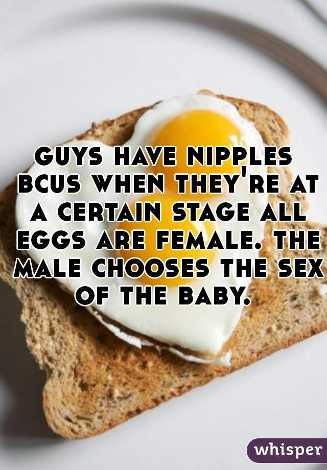 guys have nipples bcus when they're at a certain stage all eggs are female. the male chooses the sex of the baby. 