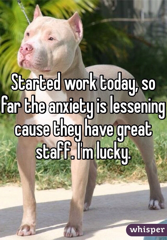 Started work today, so far the anxiety is lessening cause they have great staff. I'm lucky.