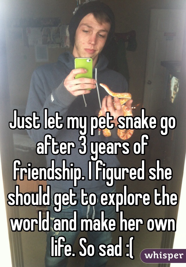 Just let my pet snake go after 3 years of friendship. I figured she should get to explore the world and make her own life. So sad :(