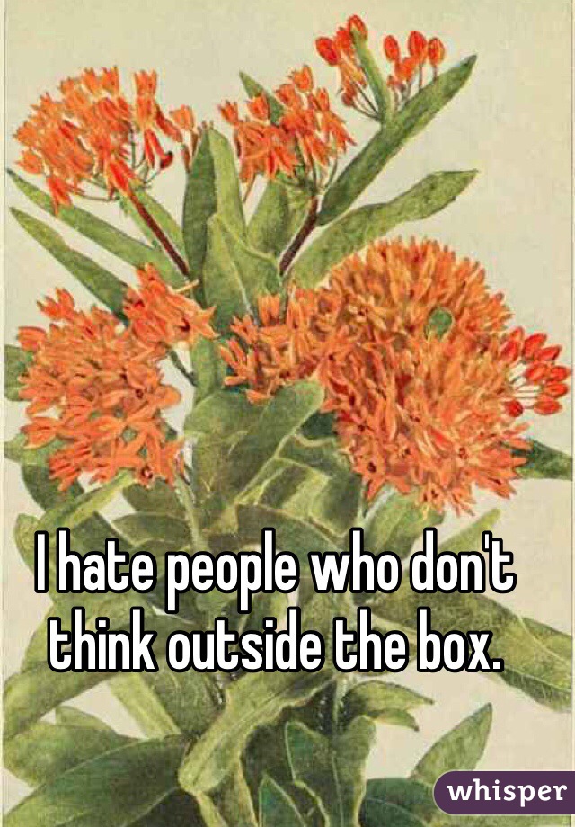 I hate people who don't think outside the box. 